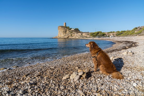 Met je hond naar Cala del Xarco in Villajoyosa aan de Costa Blanca