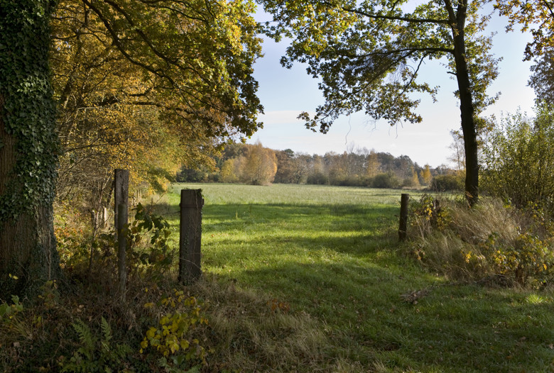 Summio Villapark Akenveen Drenthe - Tynaarlo visuel 150/442 Summio Villapark Akenveen Drenthe - Tynaarlo visuel 150/442