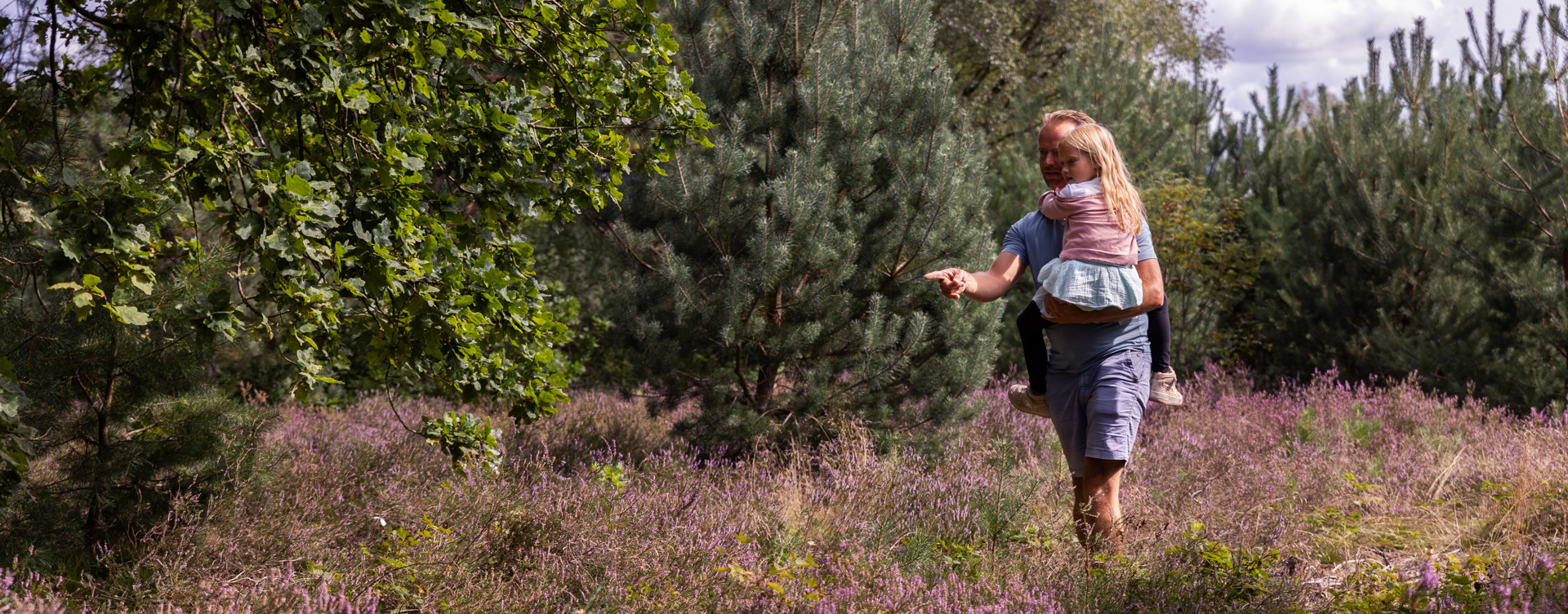 Ontdek de Veluwe vanaf onze Summio vakantieparken